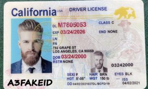 California fake id