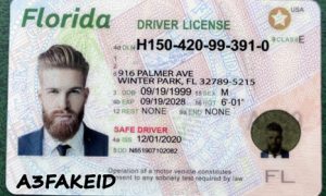 Florida fake id