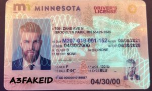 Minnesota scannable id