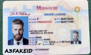 fake id Missouri