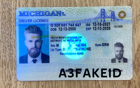 Michigan Fake ID