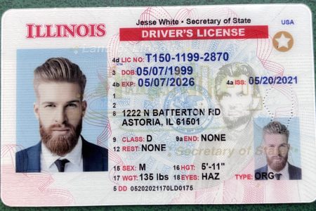 Illinois driver's license id